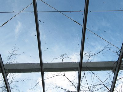 De verre et de metal, à travers la pluie_4390326012_l.jpg